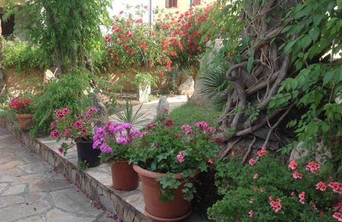 La Caletta House | Relax at The Two Palms: Oceanfront Oasis for Families