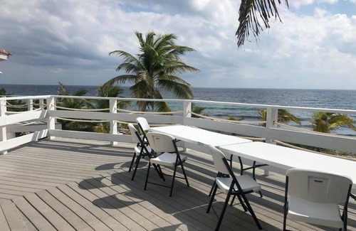 West End House | Experience a Family Retreat at the Beachside Botanical Estate