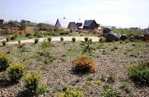 Spiddal House | Discover The Uplands: Family-Friendly 4-Star Retreat
