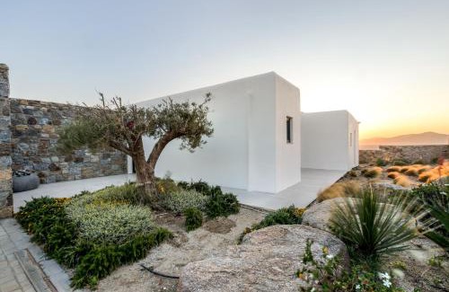Mykonos Villa | The Vault Villa Art-Pool-Sunset