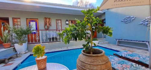 Montagu Apartment | Discover The Vic 1906: Pet-Friendly Units with Ocean Views