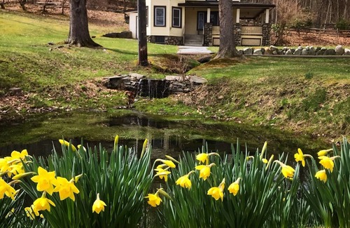 Millrift House | Experience The Victorian at Bluestone Falls: Spa & Breakfast