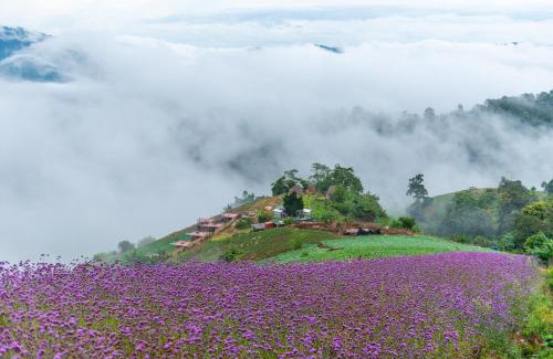 Mae Rim House | Experience De Vew Homestay on Mount Jame with Hot Tub