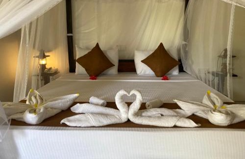 Sigiriya Hotel | Unmatched Comfort at The View Hotel Sigiriya - 10/10 Rated