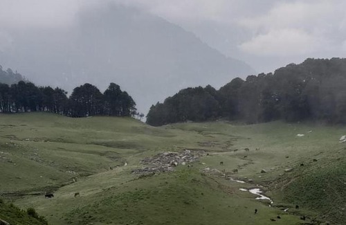 Rampur Cabin | Guest Rated 10/10: The Vinshar Bagha Sarahan Retreat
