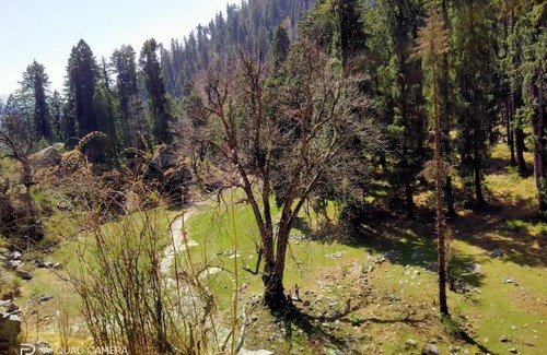 Rampur Cabin | Guest Rated 10/10: The Vinshar Bagha Sarahan Retreat