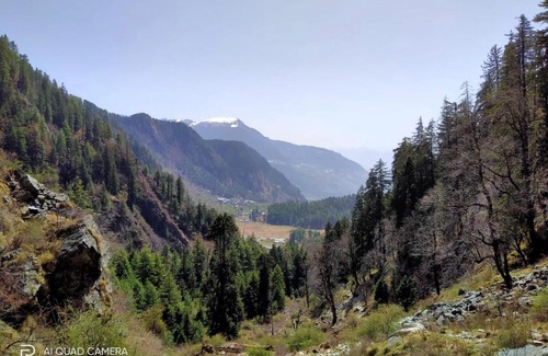 Rampur Cabin | Guest Rated 10/10: The Vinshar Bagha Sarahan Retreat