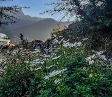 Banjar House | Pet-Friendly Haven at The VOID - Tirthan Valley, Rated 9.8