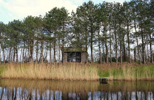 Evergem Ski Chalet | The waterfront & birds nest