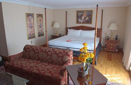 Port Credit Hotel | Discover The Waterside Inn: Pet-Friendly Getaway Awaits