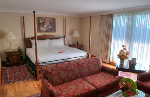 Port Credit Hotel | Discover The Waterside Inn: Pet-Friendly Getaway Awaits