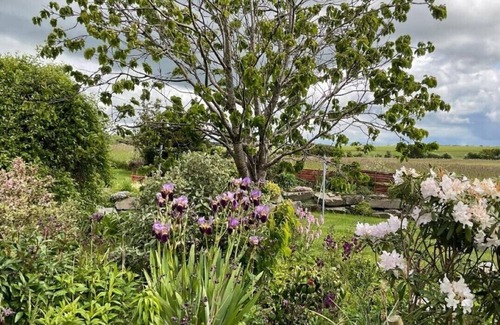 Bankend House | Discover The Wee Hoose: Family and Pet Friendly Escape