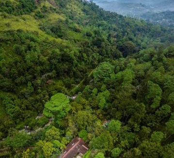Ganga Ihala Korale Villa | Relaxing Retreat at The Weir House: Guest Rated 9/10