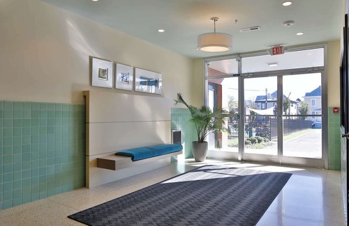 Roanoke Apartment | Modern Comfort in Downtown with Pet-Friendly Amenities