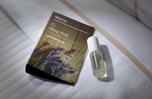 Second Ward Hotel | Discover The Westin Charlotte: Eco-Friendly Luxury Awaits
