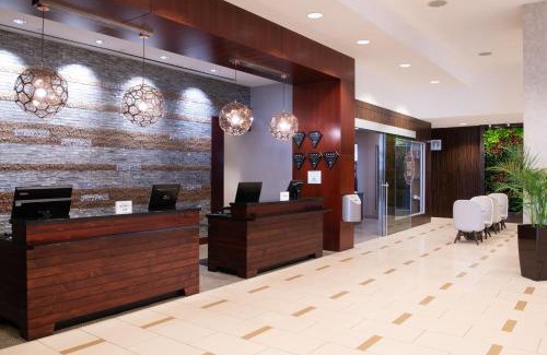 Huntsville Hotel | Discover The Westin Huntsville: Pet-Friendly Oasis Awaits