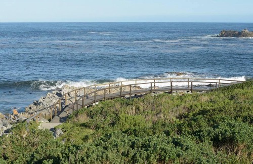 Kleinmond Apartment | Stunning Whale and Waddler Unit with Ocean View & Solar Support