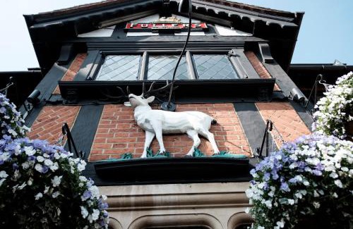 Hampton Wick Hotel | Discover The White Hart Hotel: Pet-Friendly & Family-Oriented