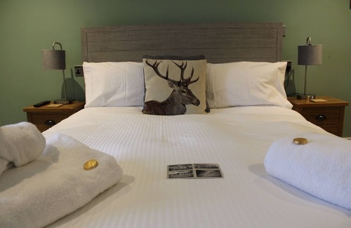 Niton Bed & Breakfast | Experience Comfort at The White Lion - Rated 9.8/10