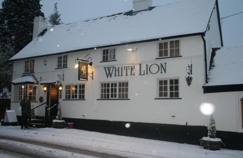 Hampton-in-Arden Hotel | Cozy Stay at The White Lion Inn with Pet-Friendly Perks