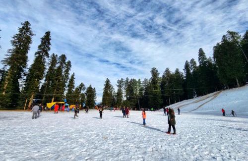 Narkanda Hotel | Pet-Friendly Retreat at The White Season Residency