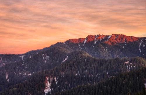 Narkanda Hotel | Pet-Friendly Retreat at The White Season Residency