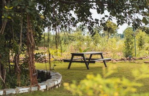 Vikarabad Hotel | Discover The Wilderness Campsite with Family-Friendly Amenities