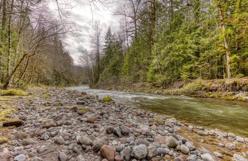 Rhododendron House | Family-Friendly Retreat: The Wildhood Cabin at Mt Hood