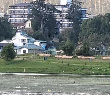 Nuwara Eliya Apartment | Relaxing Retreat at THE WIND LILY - Lake View Apartment