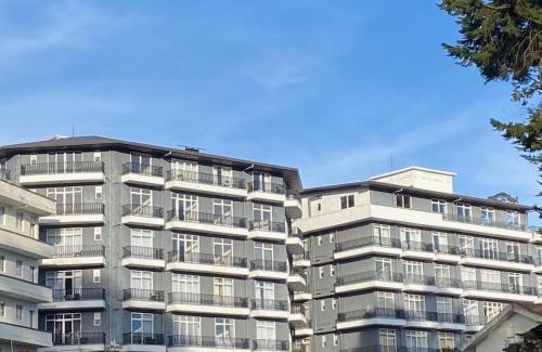 Nuwara Eliya Apartment | Relaxing Retreat at THE WIND LILY - Lake View Apartment