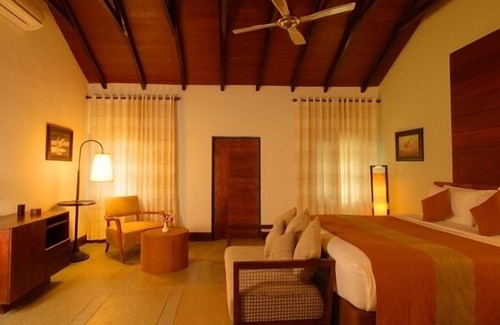Bandipur Resort | Discover The Windflower Jungle Resorts and Spa Experience