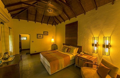 Bandipur Resort | Discover The Windflower Jungle Resorts and Spa Experience
