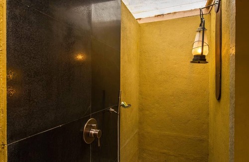 Bandipur Resort | Discover The Windflower Jungle Resorts and Spa Experience