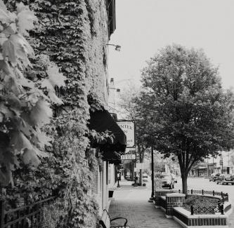 Greenville Hotel | Discover The Winter Inn: Family-Friendly with Breakfast