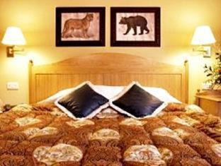 Woburn Hotel | Discover The Woburn: Pet-Friendly Retreat with Top Amenities