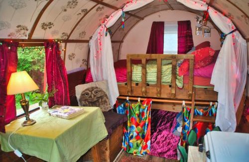 Fintown Other | Experience Comfort at The Wonderly Wagon - 9/10 Rated Stay