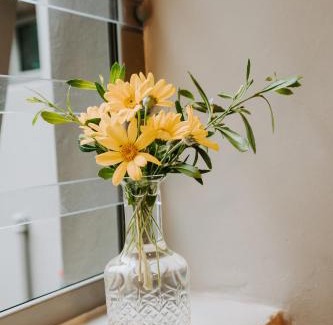 Nature's Valley Apartment | Tranquil Getaway at The Wood Owl Nature's Valley