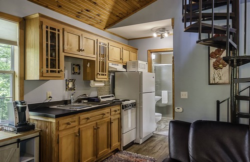 Eureka Springs Historic District Cabin | Exceptional Stay at The Woods Cabins with Pet-Friendly Amenities