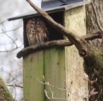 Mawr Apartment | Family-Friendly Retreat at The Wrens Nest - Rated 9/10
