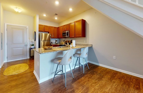 Norfolk Apartment | Experience Comfort at The Wyatt, Pet-Friendly Apartment