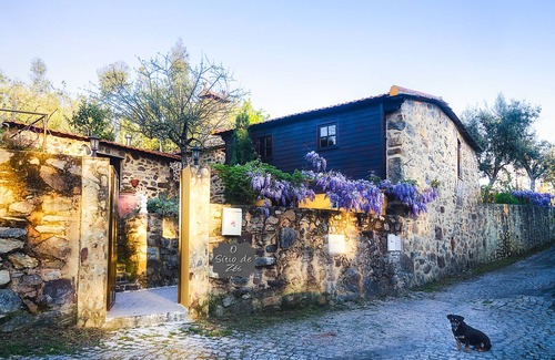Castelo de Paiva Cottage | Experience The Zés Site: Pet-Friendly Retreat in Pedorido