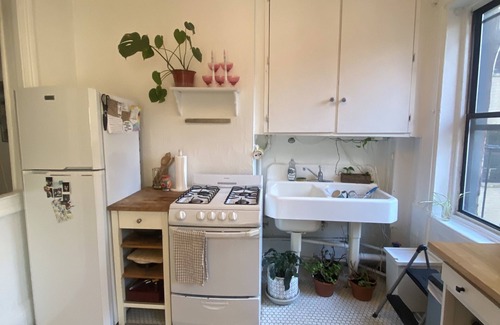 Williamsburg Apartment | Discover The Zen Den in Vibrant Williamsburg, Brooklyn
