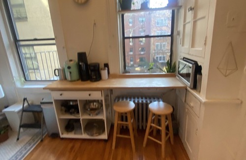 Williamsburg Apartment | Discover The Zen Den in Vibrant Williamsburg, Brooklyn