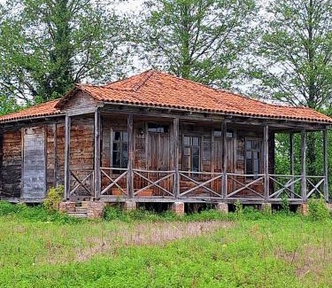 Salkhino House | Top-Rated Thea's Ethnographic Guesthouse with Free Breakfast