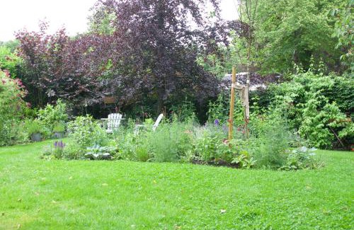 Wijckel Bed & Breakfast | Discover 'De Theetuin': A 4-Star B&B with Dining Delights