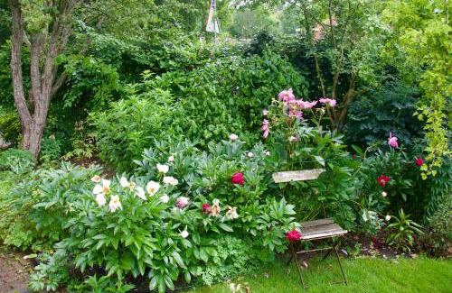 Wijckel Bed & Breakfast | Discover 'De Theetuin': A 4-Star B&B with Dining Delights