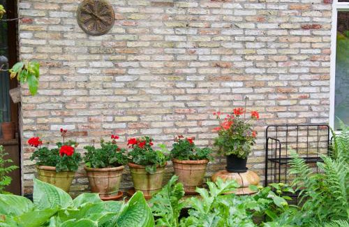 Wijckel Bed & Breakfast | Discover 'De Theetuin': A 4-Star B&B with Dining Delights