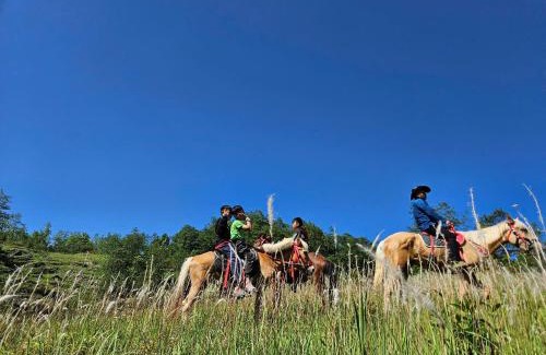 Dong Van House | Beachfront Then Pa Village: Pet-Friendly Paradise Awaits