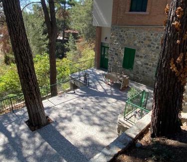 Platres House | Discover ThePlatres.Nest: Pet & Child-Friendly Retreat