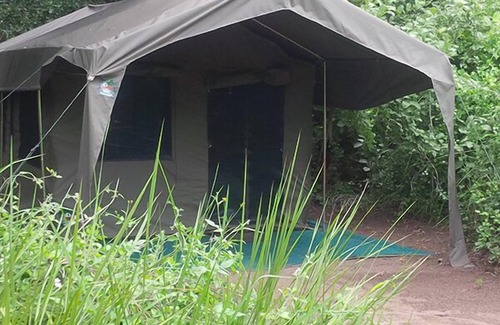 Moremi Other | Experience Nature at Third Bridge Mobile Camp with Family Amenities